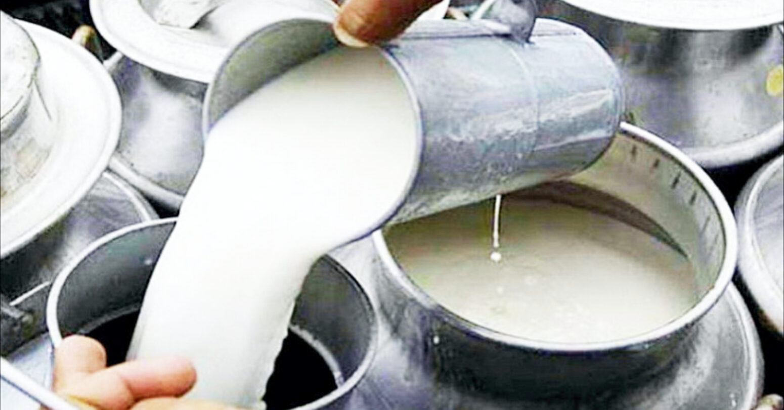 DDC Pays Rs 120 Million To Dairy Farmers