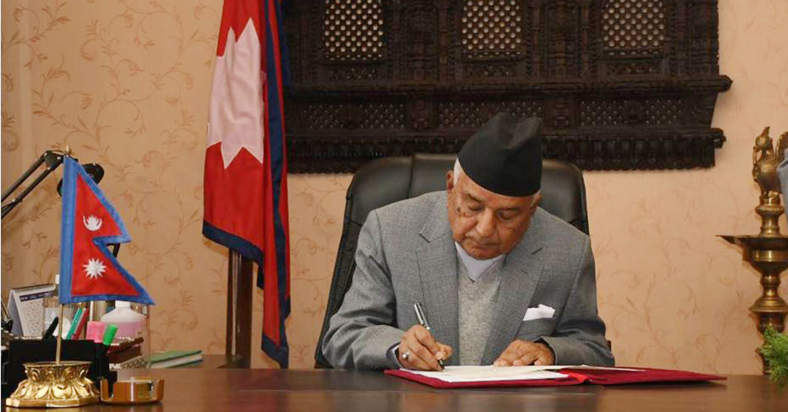 President Issues Ordinance On Constitutional Council