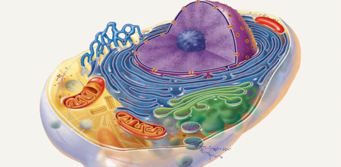 Simple Molecules May Hold Clues To Origins Of Life: Study