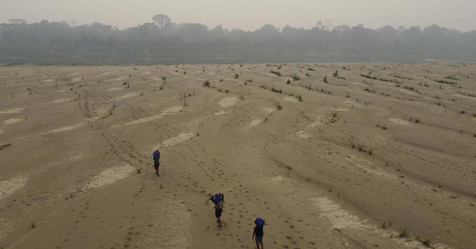 Drought, Fires And Deforestation Battered Amazon Rainforest In 2024