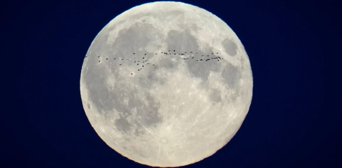 SpaceX Rocket Stage Believed To Have Slammed Into Moon