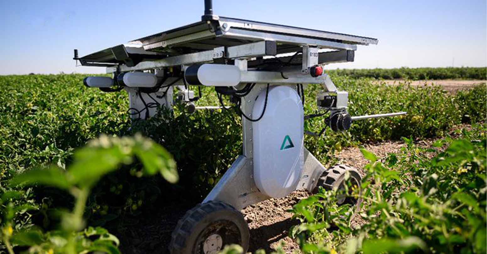 AI Robots Fill In For Weed Killers And Farm Hands