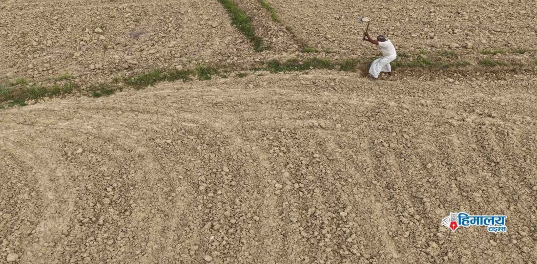 Tarai Belt Likely To Face Hotter Days