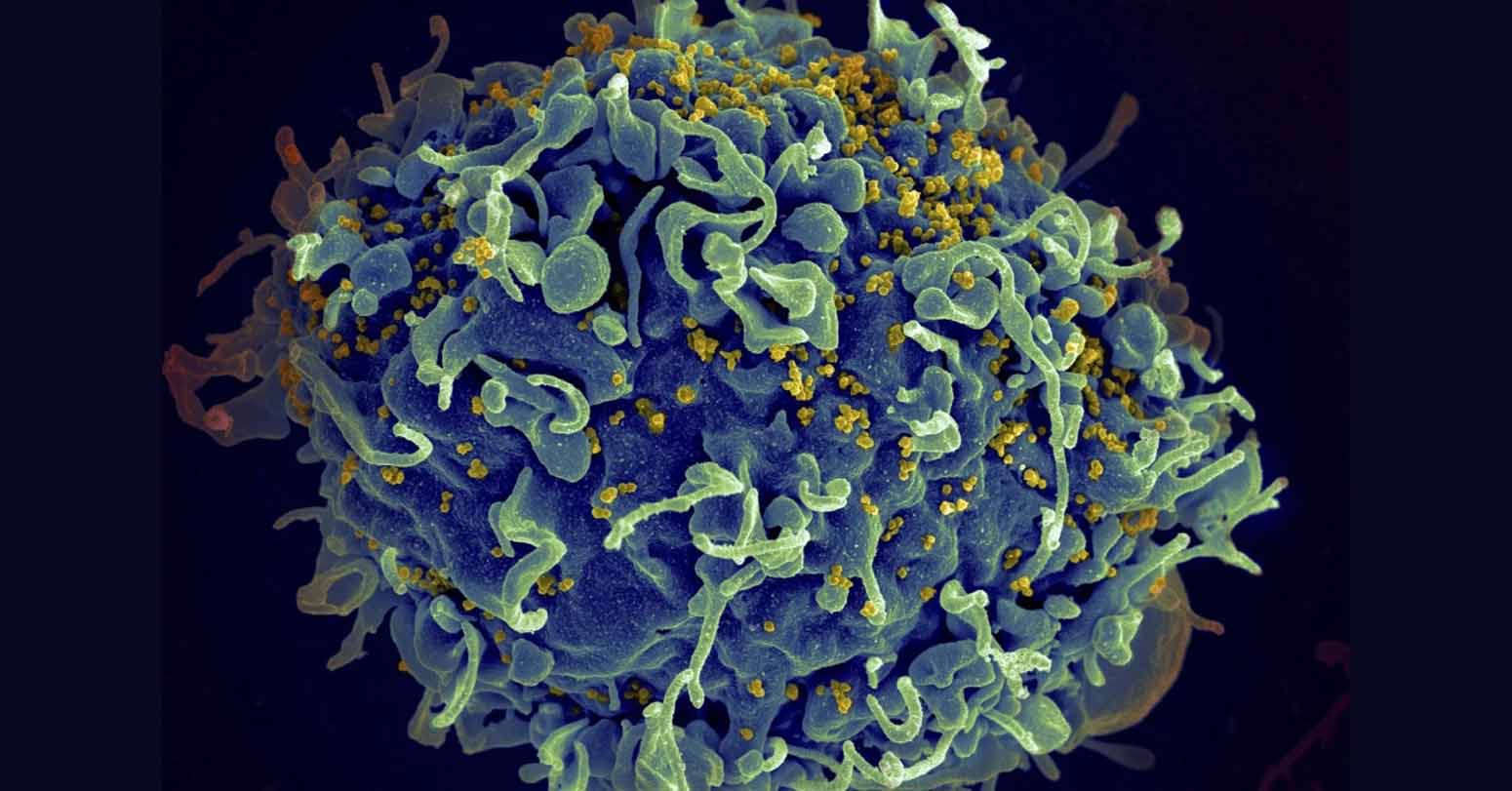 EU Regulator Green Lights An Injectable HIV Drug That Could Help Stop Transmission
