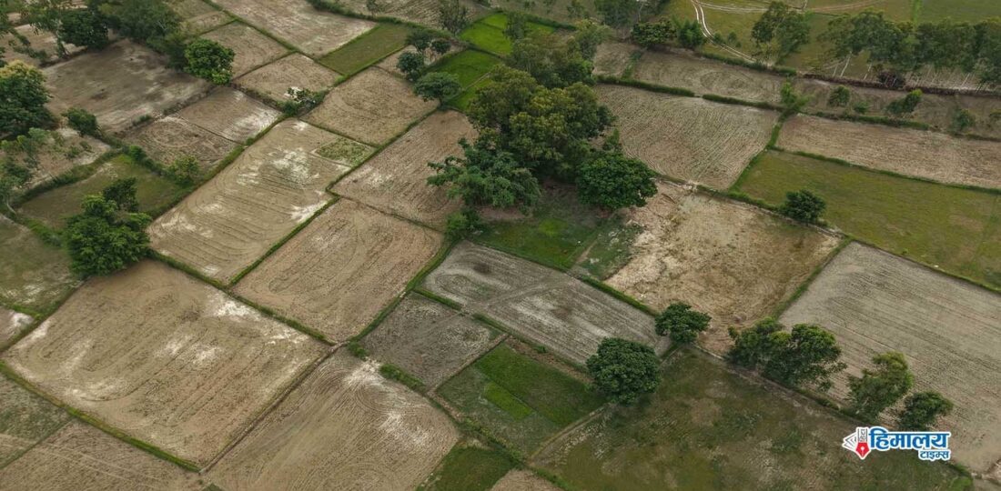 338 Local Levels Complete Land Use Plan So Far