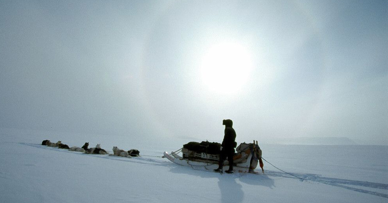 Greenland’s Elite Dogsled Unit Patrols Desolate, Icy Arctic