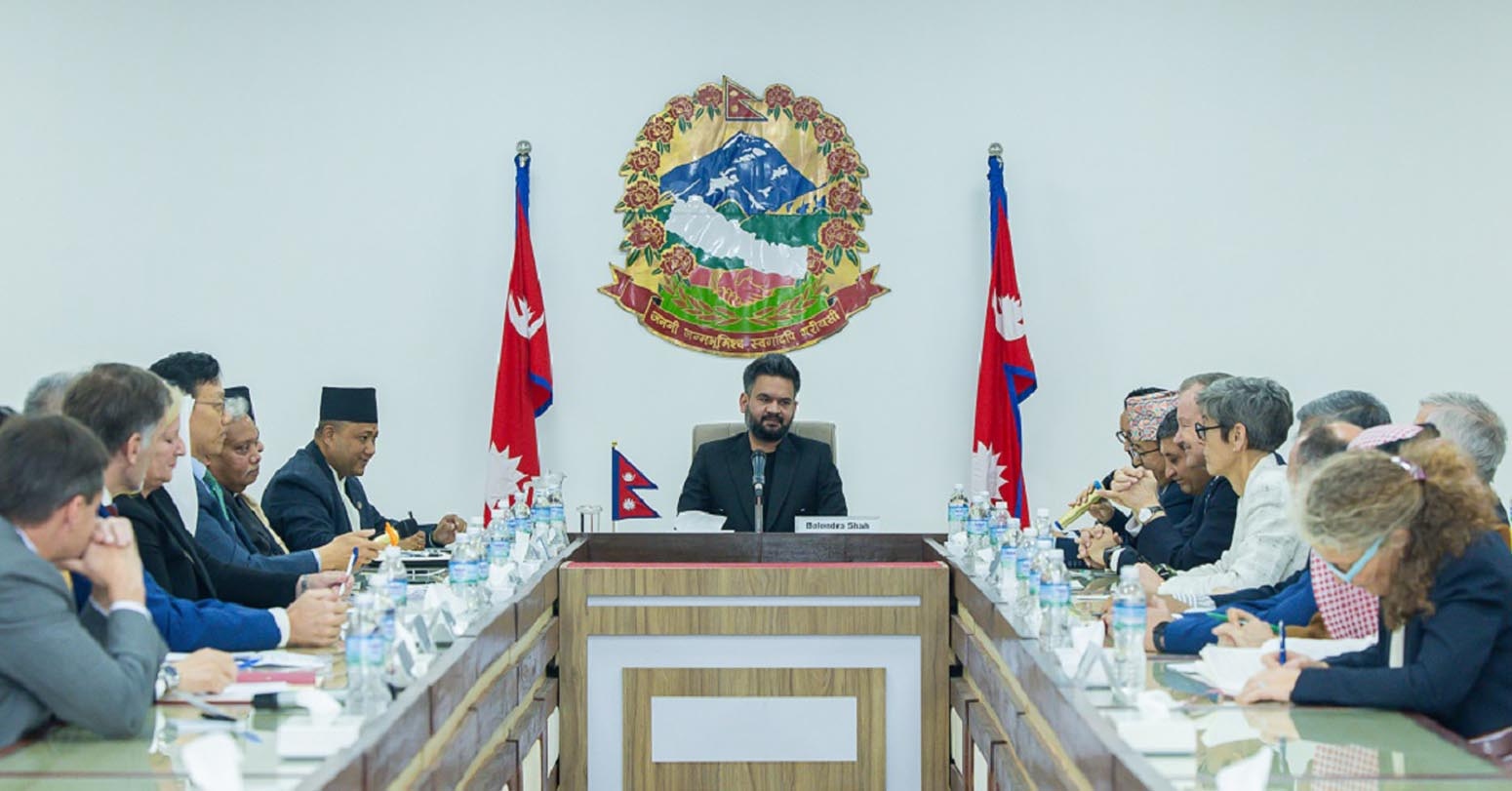 Ambassadors/Heads Of Diplomatic Mission Pay Joint Courtesy Call On PM Shah