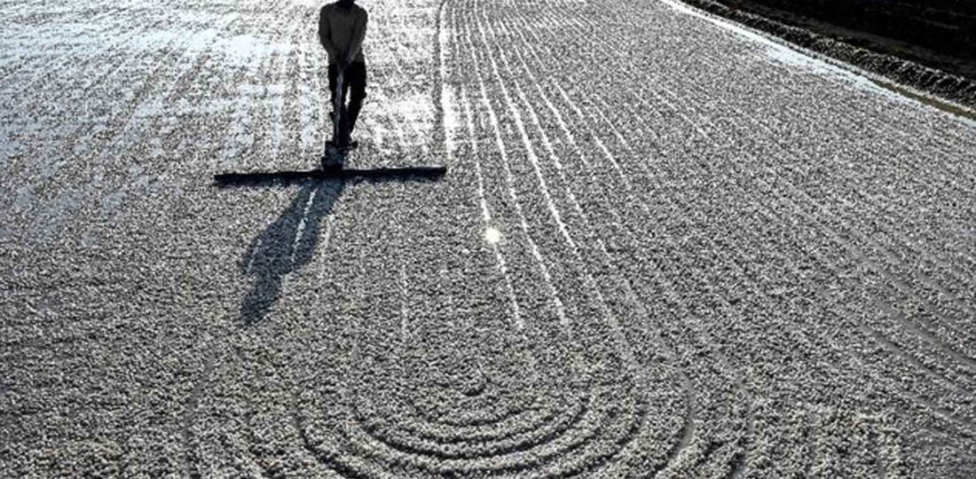 No Trees, No Fans: Surviving Extreme Heat In India’s Salt Pans
