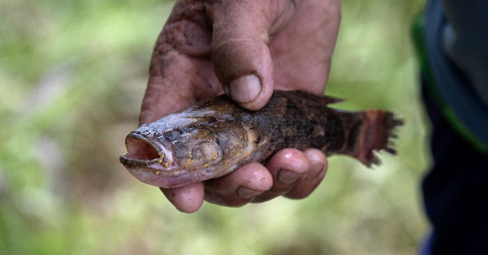 Toxic ‘Time Bomb’ Threatens Mekong River Basin
