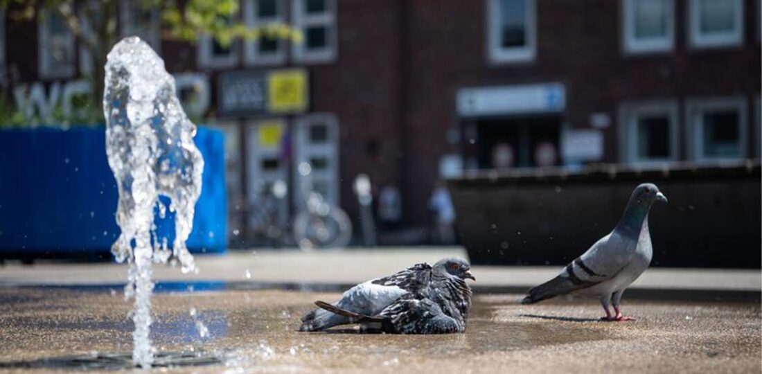 Expanding Heatwave Scorches Europe As Records Fall, Wildfire Risks Rise