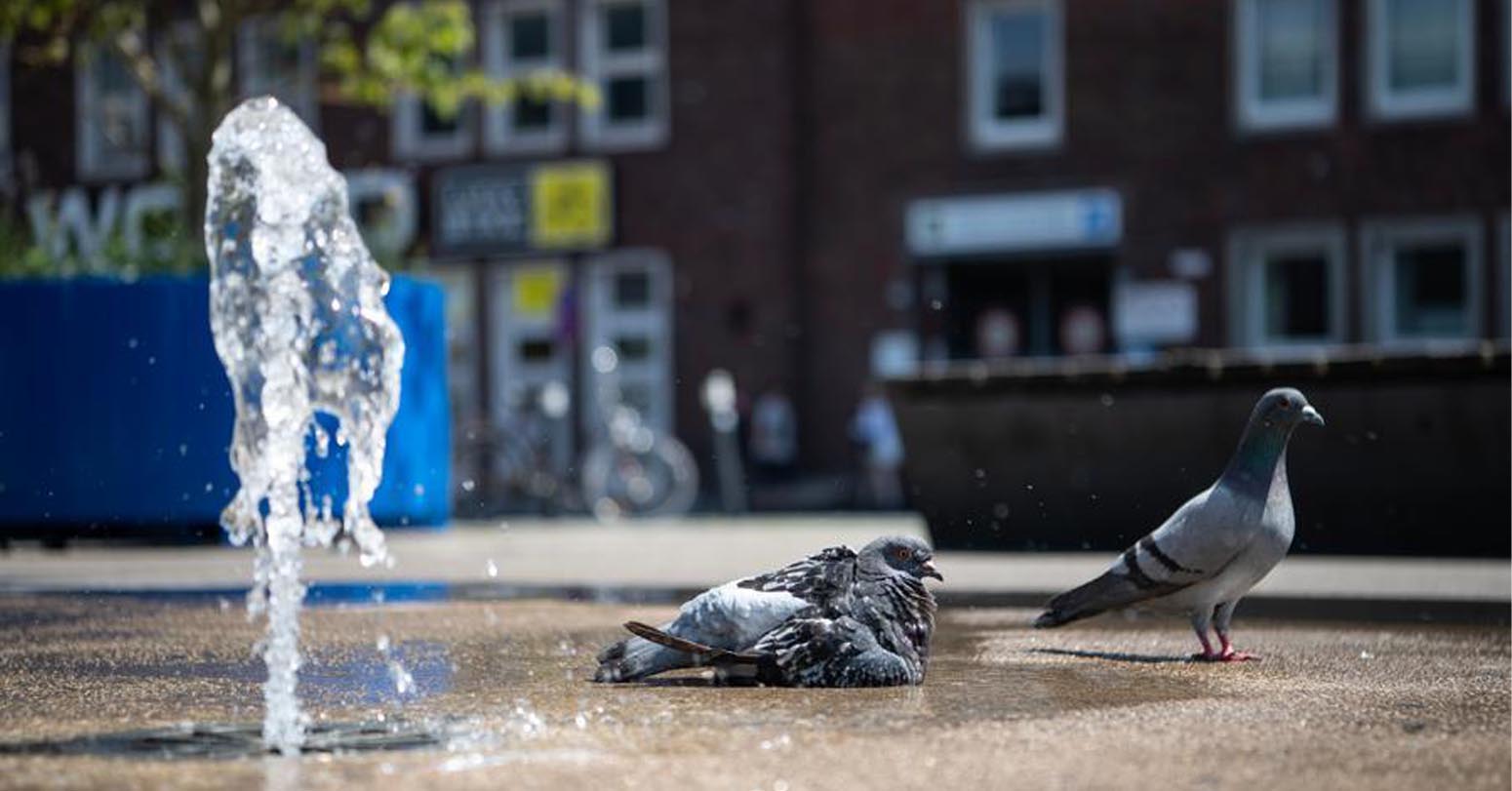 Expanding Heatwave Scorches Europe As Records Fall, Wildfire Risks Rise