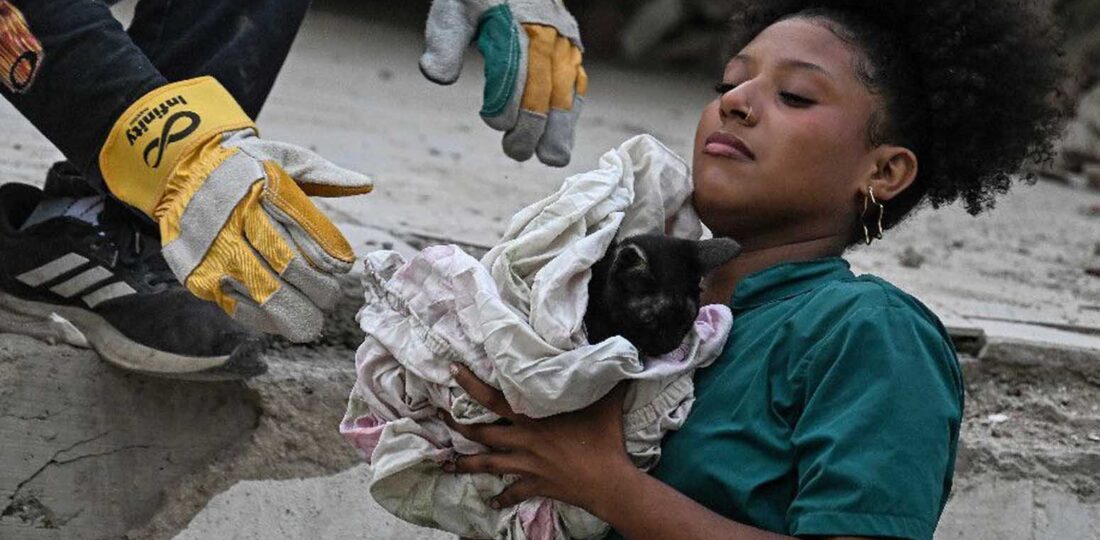 Venezuelans Search For Animal Companions Lost In The Quakes