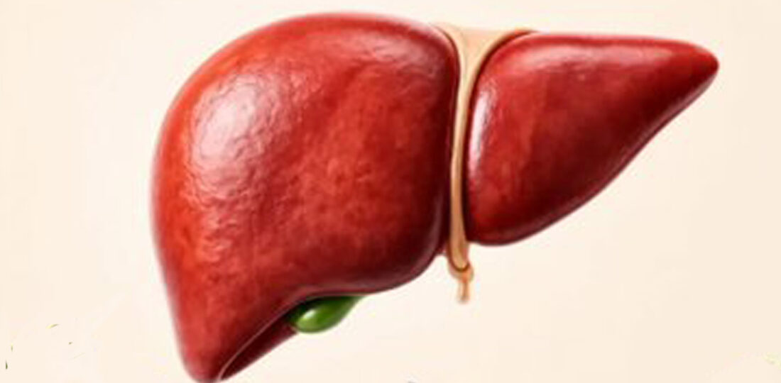 Gene Editing Approach Could Provide Lasting Treatment For Rare Liver Disease: Study